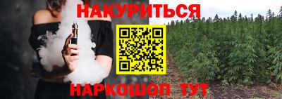 прущие крисы Малгобек